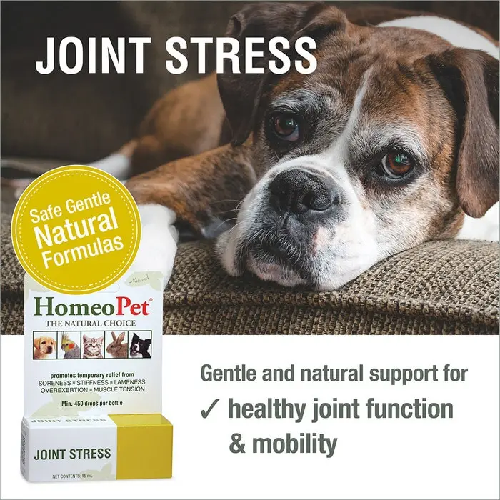 HomeoPet Joint Stress Dog Pet Drops 15ml 4 HomeoPet Joint Stress Dog Pet Drops 15ml - Image 2
