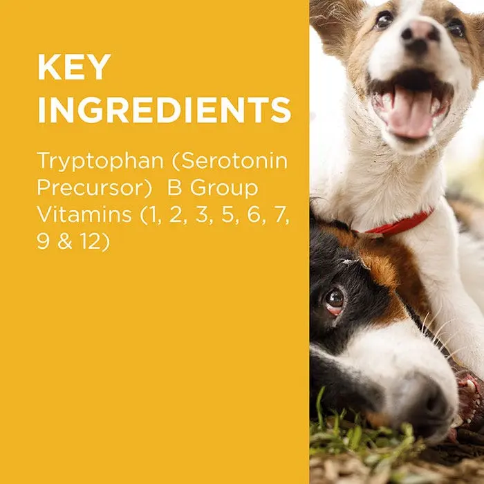 PAW Complete Calm Dog Chews 300g 7 PAW Complete Calm Dog Chews 300g - Image 5