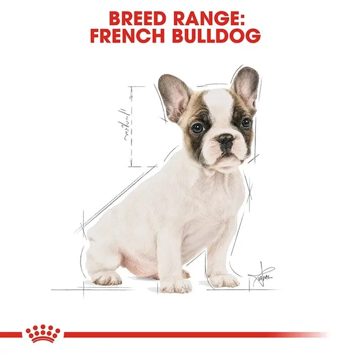 Royal Canin French Bulldog Puppy Dog Food 3Kg 7 Royal Canin French Bulldog Puppy Dog Food 3Kg - Image 5