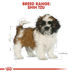 Royal Canin Shih Tzu Puppy Dog Food 1.5Kg -Dog food Sales Shop 136806 Shih Tzu 1.5kg 4