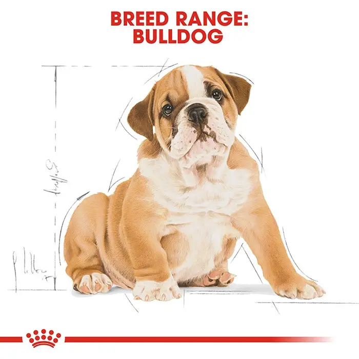 Royal Canin Bulldog Puppy Dog Food 12Kg 4 Royal Canin Bulldog Puppy Dog Food 12Kg - Image 2