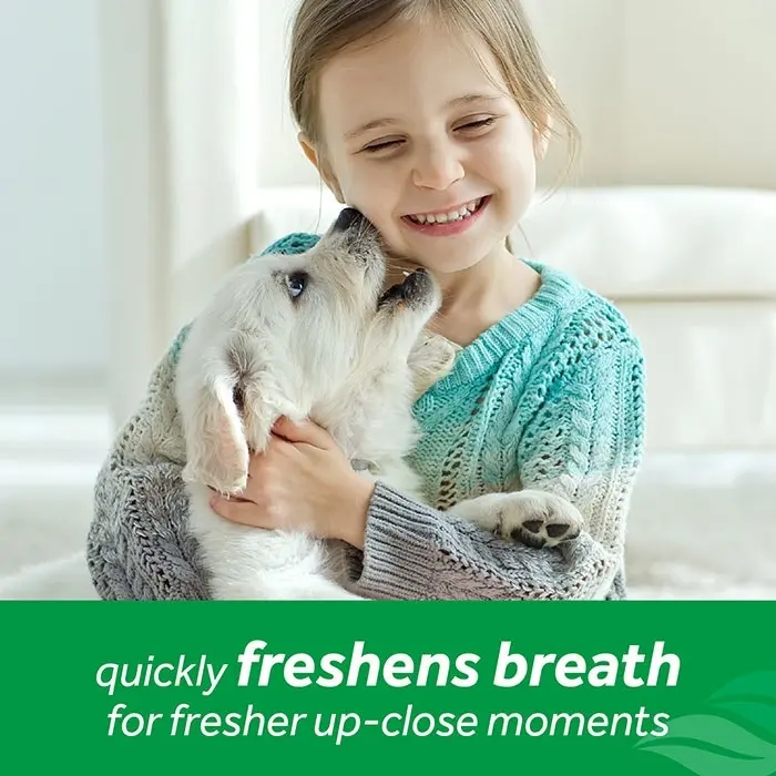 Tropiclean Fresh Breath Mint Dog Foam 133ml 5 Tropiclean Fresh Breath Mint Dog Foam 133ml - Image 3