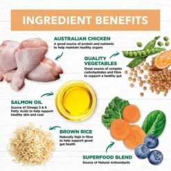 Ivory Coat Chicken & Brown Rice Puppy Dry Food 2.5kg -Dog food Sales Shop 141677 IC PF CHK BR RICE 2.5kg 5