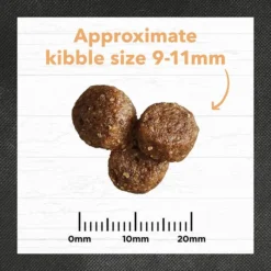 Ivory Coat Chicken & Brown Rice Puppy Dry Food 2.5kg -Dog food Sales Shop 141677 IC PF CHK BR RICE 2.5kg 9