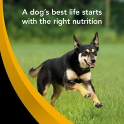 Supercoat Smartblend Active Beef Adult Dog Food 18kg -Dog food Sales Shop 143119 SUPERCOAT SMARTBLEND Adult Active 10