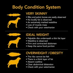 Supercoat Smartblend Active Beef Adult Dog Food 18kg -Dog food Sales Shop 143119 SUPERCOAT SMARTBLEND Adult Active 8