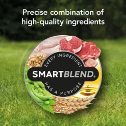 Supercoat Smartblend Active Beef Adult Dog Food 18kg -Dog food Sales Shop 143119 SUPERCOAT SMARTBLEND Adult Active 9
