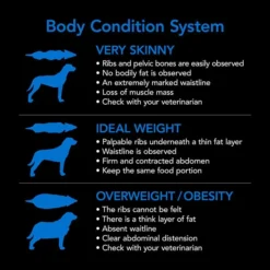 Supercoat Smartblend Senior Fish Adult Dog Food 18kg -Dog food Sales Shop 143127 SUPERCOAT SMARTBLEND Senior Dog Food With Fish 18kg 0 10