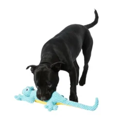 Mix Or Match 30 Plush Gecko Dog Toy Teal -Dog food Sales Shop 143250 MOM30 DT PLSH GECKO TEAL 2