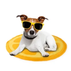 All For Paws Chill Out Orange Dog Cooling Mat