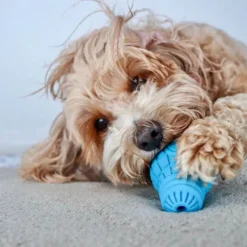 GiGwi Rubber Bulb Treat Dispenser Dog Toy Blue Small -Dog food Sales Shop 143640 GW DT RUBBER BULB BL S DAG3200 3