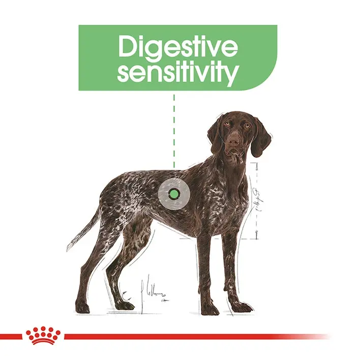 Royal Canin Maxi Digestive Adult Dog Food 12kg 6 Royal Canin Maxi Digestive Adult Dog Food 12kg - Image 4