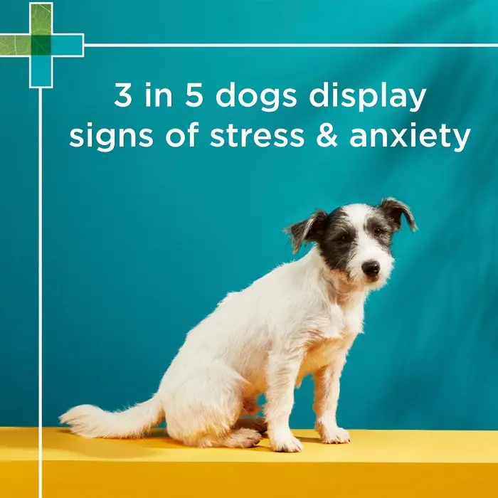 Paw Complete Calm Dog Chew 75g-30PK 8 Paw Complete Calm Dog Chew 75g-30PK - Image 6