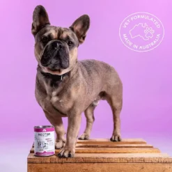 Nectar Of The Dogs Skin + Coat Dog Soluble Powder 150g -Dog food Sales Shop 144127 Skin Coat09 Lifestyle