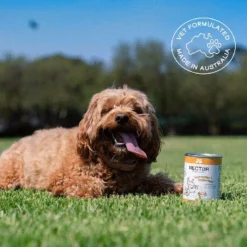 Nectar Of The Dogs Gut Brain Digestion Dog Powder 150g -Dog food Sales Shop 144130 Gut Digestion09 Lifestyle