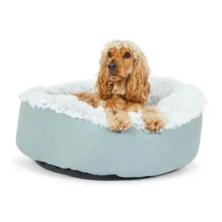 All Day Como Calming Dog Basket Mint M-70x70x25cm -Dog food Sales Shop 144235 Dog Bedding All Day Como Calming Dog Basket Mint M 70x70x25cm 9