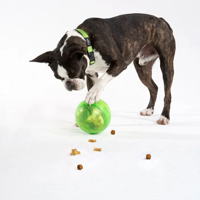 Rogz Tumbler Treat Dispenser Dog Toy Lime 4 Rogz Tumbler Treat Dispenser Dog Toy Lime - Image 2