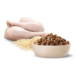ADVANCE Adult Medium Breed Dry Dog Food Turkey With Rice -Dog food Sales Shop 14619 29271 126344 126341 9310022528903 13 10 1