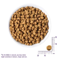 Wellness Core Puppy Food -Dog food Sales Shop 14773 3210440 3215047 core puppy 2 1