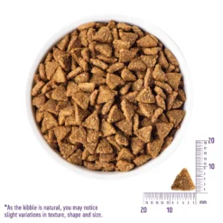 Wellness Core Small Breed Dog Food -Dog food Sales Shop 14779 3210439 3210442 core dog sb adult 0 2 1