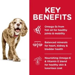 Hills Science Diet Hill's Science Diet Senior 11+ Small & Toy Breed Age Defying Dog Food -Dog food Sales Shop 15413 hill s science diet adult 11 small paws senior dry dog food 7.03kg 7