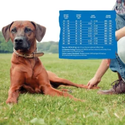 Wellness Core Large Breed Dog Food -Dog food Sales Shop 21962 3212238 3215049 corepanels largebreed 5 1 1 1