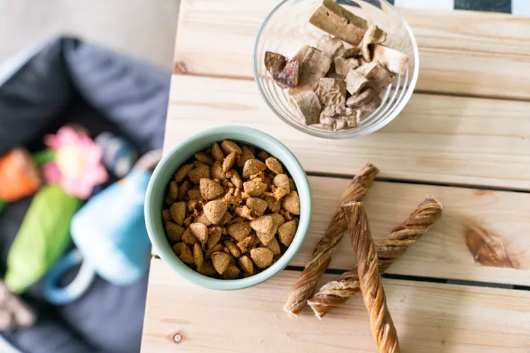 Dog food Sales Shop -Dog food Sales Shop 23ERWE