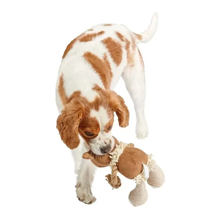 Mix Or Match 30 Plush Rhinoceros Dog Toy Beige 34cm 4 Mix Or Match 30 Plush Rhinoceros Dog Toy Beige 34cm - Image 2