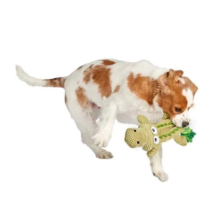 Mix Or Match 30 Rope Tail Gator Dog Toy Green 51cm 4 Mix Or Match 30 Rope Tail Gator Dog Toy Green 51cm - Image 2
