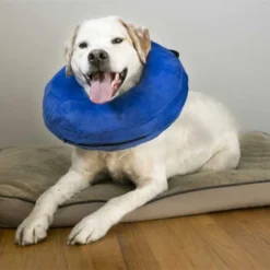 KONG Recovery Cloud Dog Collar Medium 7 KONG Recovery Cloud Dog Collar Medium -Dog food Sales Shop 32725 122002 122003 122004 122005 140410 el kong cloud collar lifestyle 2 3 1 1