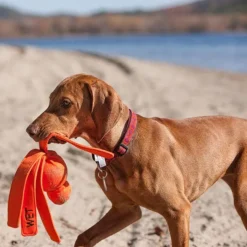 Kong Wet Wubba Dog Toy Asst L 13 Kong Wet Wubba Dog Toy Asst L -Dog food Sales Shop 509728 KONG DT WET WUBBA ASST L WW1 6