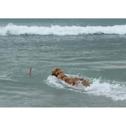 Rogz Lighthouse Dog Toy Red White -Dog food Sales Shop 510024 ROGZ DT LIGHTHOUSE RD WHT 3