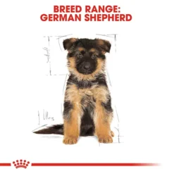 Royal Canin German Shepherd Puppy Dog Food 12kg 13 Royal Canin German Shepherd Puppy Dog Food 12kg -Dog food Sales Shop 76608 German Shepherd 12kg 4