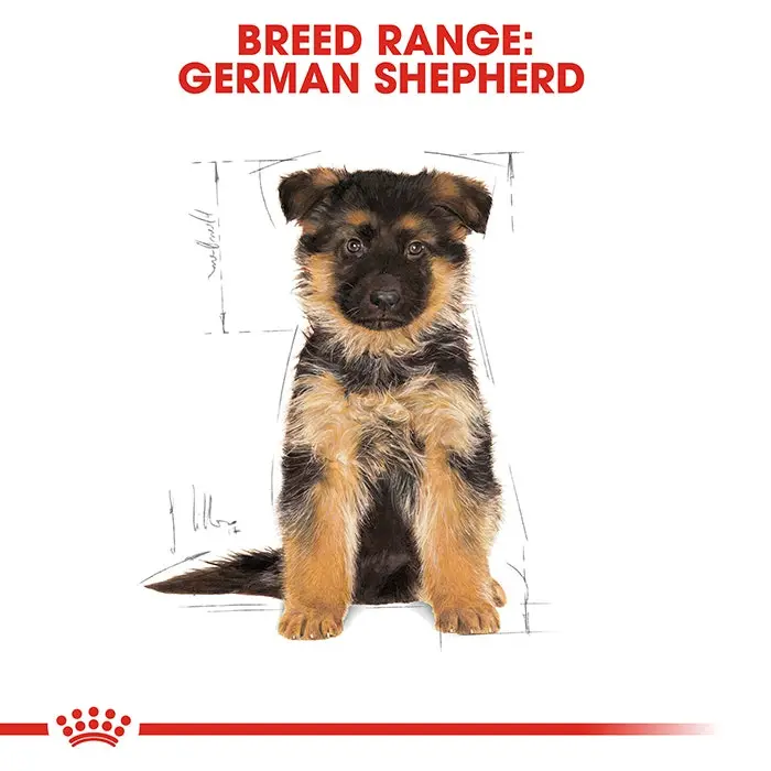 Royal Canin German Shepherd Puppy Dog Food 12kg 7 Royal Canin German Shepherd Puppy Dog Food 12kg - Image 5