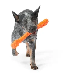 Mix Or Match 30 TPR Spiky Tug Double Handle Dog Toy Asst 15 Mix Or Match 30 TPR Spiky Tug Double Handle Dog Toy Asst -Dog food Sales Shop Dog 141552 MOM30 DT SPKY TUG DB HND ASST 11 031