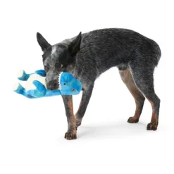 Mix Or Match 30 Tough Dinosaur Dog Toy Assorted 40cm -Dog food Sales Shop Dog 141560 MOM30 DT TOUGH DINOSAUR ASST 11 004