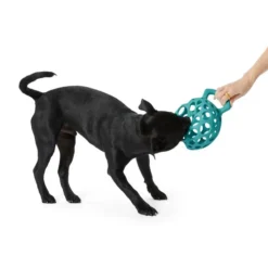 All Day Cage Ball With Handle Dog Toy Assorted Large 11 All Day Cage Ball With Handle Dog Toy Assorted Large -Dog food Sales Shop Dog 143186 ALD DT CAGE BALL HANDLE ASST L 8