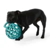 All Day Cage Ball With Handle Dog Toy Assorted Large -Dog food Sales Shop Dog 143186 ALD DT CAGE BALL HANDLE ASST L 9