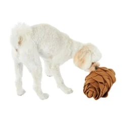 All Day Snuffle Pinecone Dog Toy Brown -Dog food Sales Shop Dog 143214 ALD DT SNUFFLE PINECONE BRN 07 012