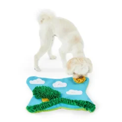 All Day Garden Snuffle Mat Dog Toy