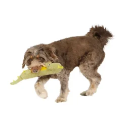 Mix Or Match 30 Crocodile With TPR Body Dog Toy -Dog food Sales Shop Dog 143372 MOM30 DT CROCODILE wTPR BODY 8 039