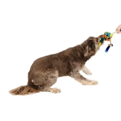 Mix Or Match 30 Bird With TPR Knot Body Dog Toy -Dog food Sales Shop Dog 143374 MOM30 DT BIRD wTPR KNOT BODY 10 016