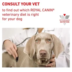 Royal Canin Veterinary Diet Satiety Small Breed Dog Food 3kg 18 Royal Canin Veterinary Diet Satiety Small Breed Dog Food 3kg -Dog food Sales Shop EDIT RC VET DRY DogSatietySmallDogWMSD BrandFlagship B1 Page 10B1 Page 10
