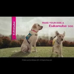 Eukanuba Medium Breed Mature And Senior Dog Food