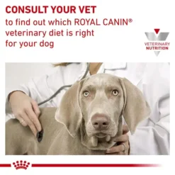 Royal Canin Veterinary Diet Royal Canin Veterinary Skin Support Adult Dog Food 7Kg -Dog food Sales Shop RC VET DRY DogSkinSupp Eretailkit B1 Page 8B1 Page 8