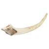 Watch & Grow Deer Antler Dog Treat Large -Dog food Sales Shop WAG large 510696 1