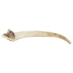 Watch & Grow Deer Antler Dog Treat Large -Dog food Sales Shop WAG large 510696 3