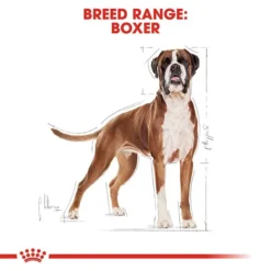Royal Canin Boxer Dog Food 12kg -Dog food Sales Shop rc bhn boxer cv eretailkit 1