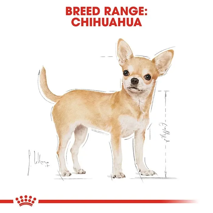Royal Canin Chihuahua Adult Dog Food 4 Royal Canin Chihuahua Adult Dog Food - Image 2