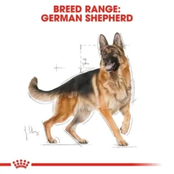 Royal Canin German Shepherd Adult Dog Food 11kg 9 Royal Canin German Shepherd Adult Dog Food 11kg -Dog food Sales Shop rc bhn germanshepherd cv eretailkit 1